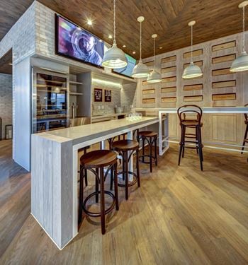 Cocktail bar complete with wine fridge and kegerator